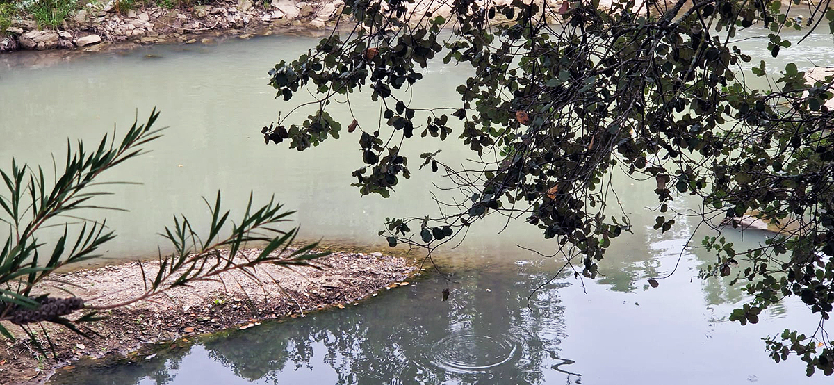 Foto-denuncia por un posible vertido en Arripausueta