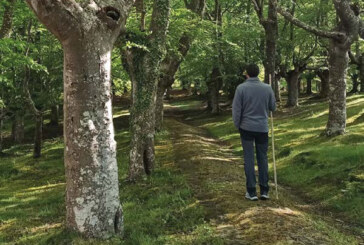 Gerediaga propone siete rutas guiadas para conocer los caminos históricos de Durangaldea