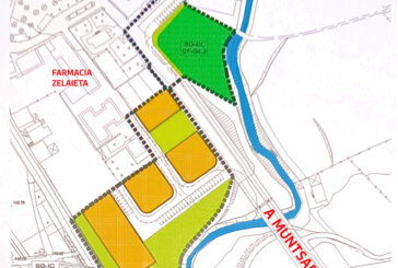 El PSE de Abadiño propone la construcción de Viviendas de Protección Social en Zelaieta