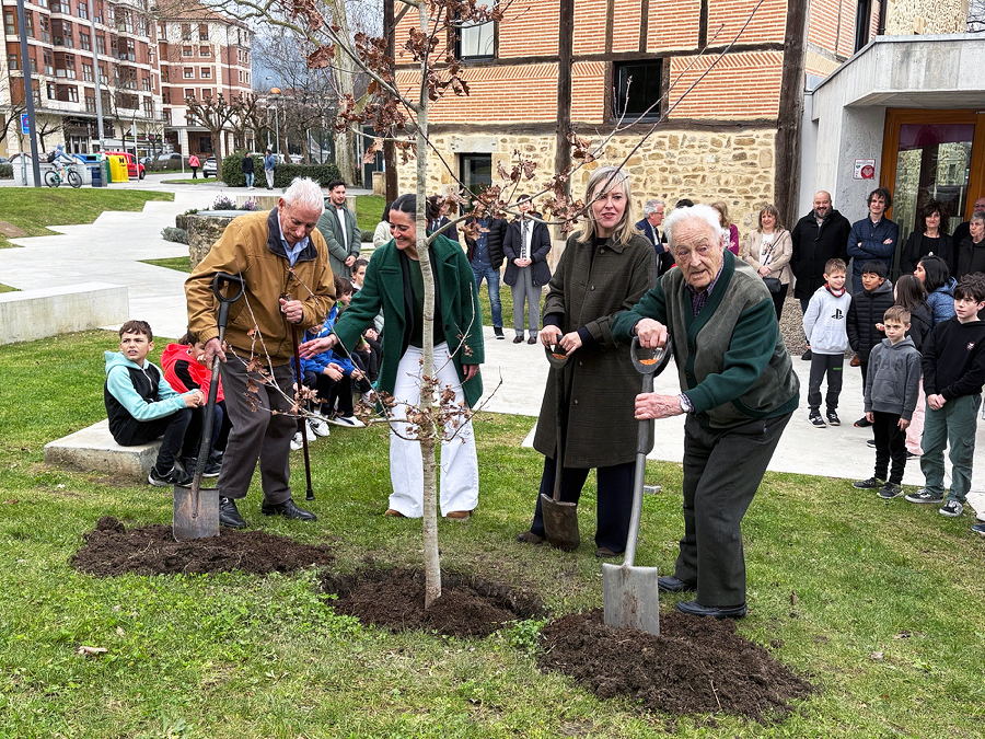 Un retoño del Árbol de Gernika crece ya en Muruetatorre